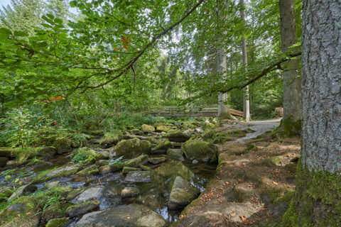 Gemeinde Waldkirchen Landkreis Freyung-Grafenau Saußbachklamm (Dirschl Johann) Deutschland FRG